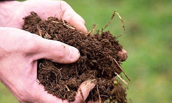 Close up of hands holding soil